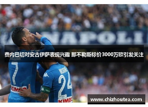 费内巴切对安古伊萨表现兴趣 那不勒斯标价3000万欧引发关注